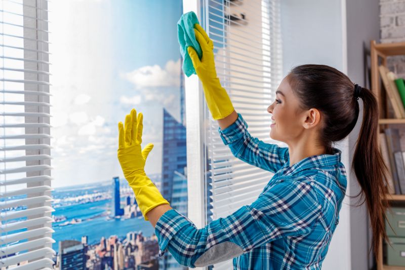 Commercial Window Service